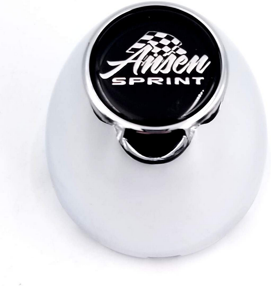 ar cap ansen plastic large w/logo